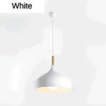AluPastel Pendant Light Lively LED Chandelier with One Head tag1
