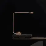 Aluminum desk lamp Dimmable LED light with curved design tag1