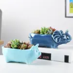 Amarar Vases
