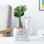 Amarar Vases