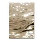 Amesea_Canvas_-_-4124033 Amesea Canvas
