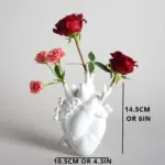 Anatomical heart vase