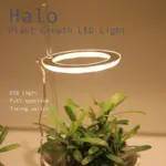 Angel Three Ring Grow Light