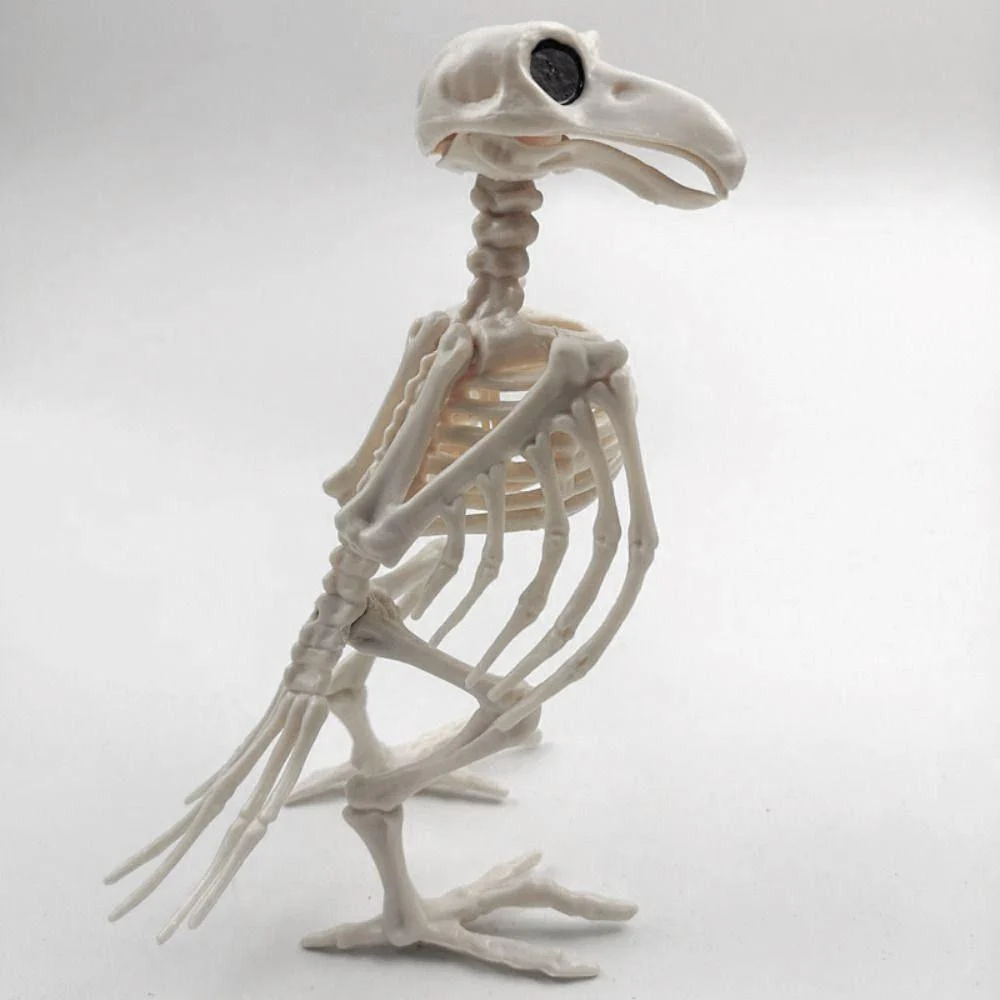 Animal Bone Skeleton Halloween Decor -