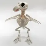 Animal Bone Skeleton Halloween Decor