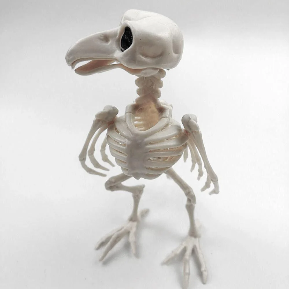 Animal Bone Skeleton Halloween Decor -