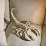 Animal Bone Skeleton Halloween Decor