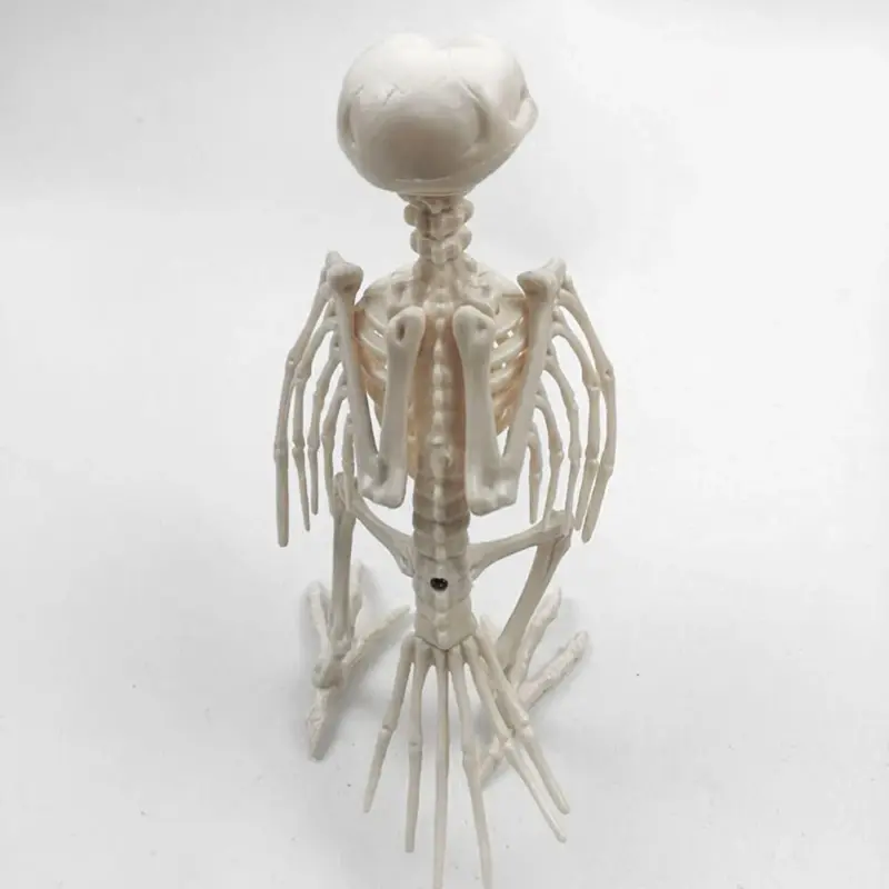 Animal Bone Skeleton Halloween Decor