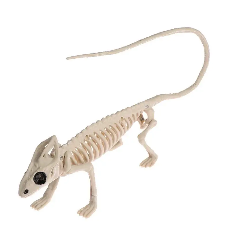 Animal Bone Skeleton Halloween Decor