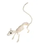 Animal Bone Skeleton Halloween Decor