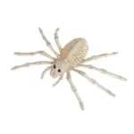 Animal Bone Skeleton Halloween Decor