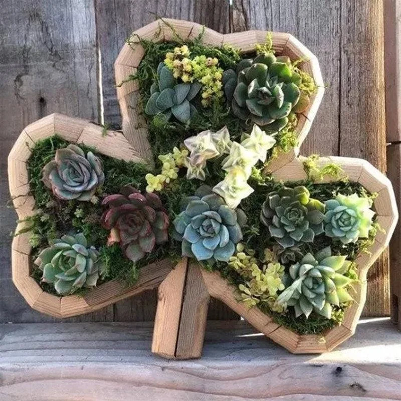 Animal Succulent Garden Arrangement -  - #tag1#