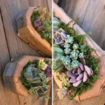 Animal Succulent Garden Arrangement tag1