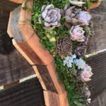 Animal Succulent Garden Arrangement tag1