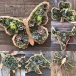 Animal Succulent Garden Arrangement tag1