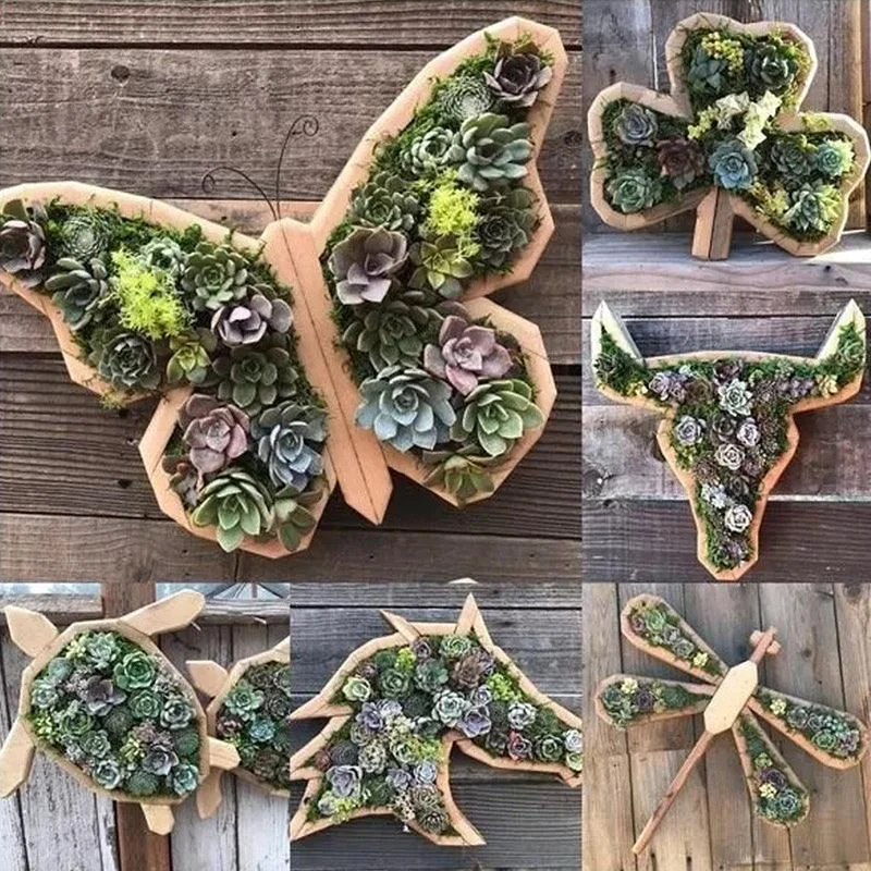 Animal Succulent Garden Arrangement -  - #tag1#
