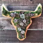 Animal Succulent Garden Arrangement tag1