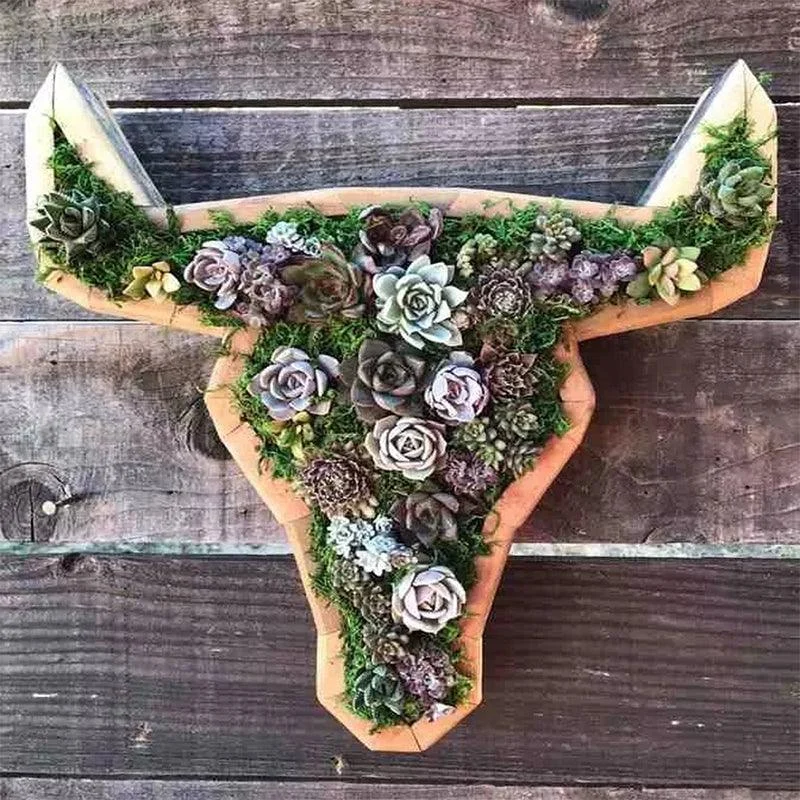 Animal Succulent Garden Arrangement -  - #tag1#