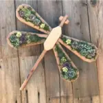 Animal Succulent Garden Arrangement tag1