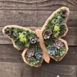 Animal Succulent Garden Arrangement tag1