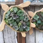 Animal Succulent Garden Arrangement tag1