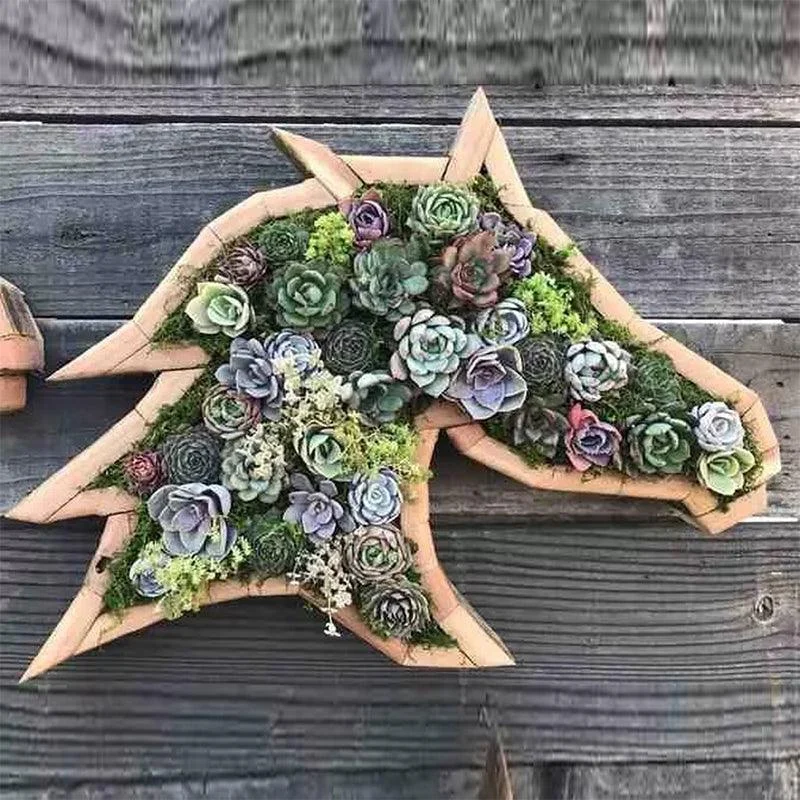 Animal Succulent Garden Arrangement -  - #tag1#