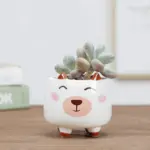 Animal Succulent Pots
