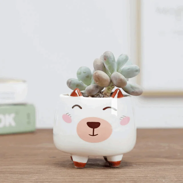 Animal Succulent Pots -