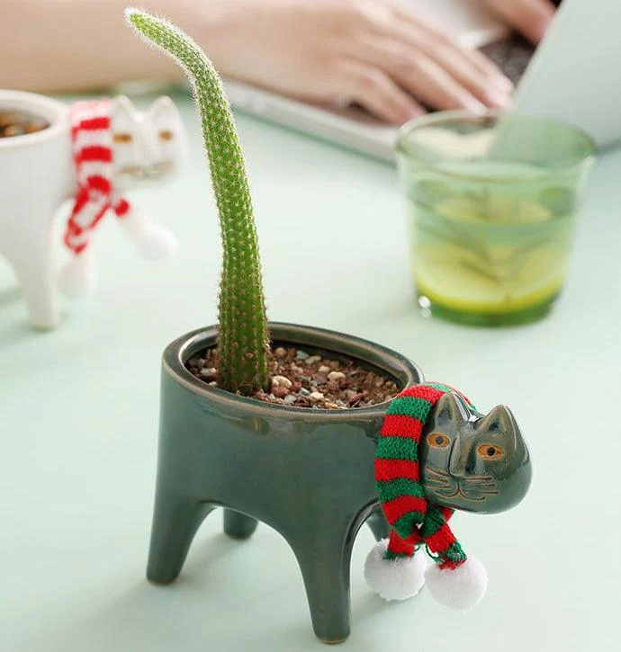 Animated Cat Ceramic Vase -  - #tag1#