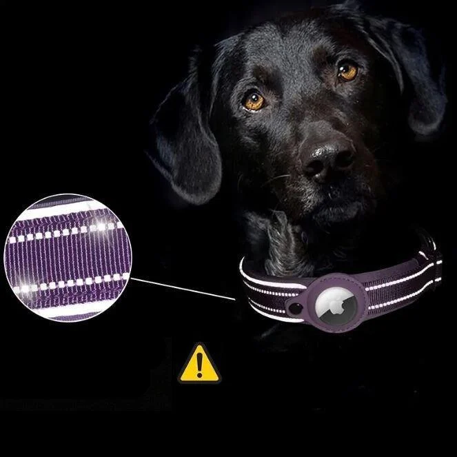 Anti-Loss Apple AirTag Tracker Collar | Safe and Convenient -  - #tag1#