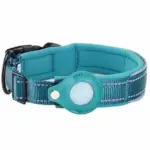 Anti Loss Apple AirTag Tracker Collar Safe and Convenient tag1