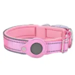 Anti Loss Apple AirTag Tracker Collar Safe and Convenient tag1