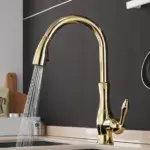 Anton Pull out Kitchen Faucet tag1