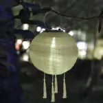 AquaGuard Weatherproof Solar Lantern tag1