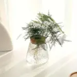 AquaRoots Glass Plant Propagators with Cork Lid tag1