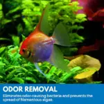 Aquarium Purifying Powder tag1
