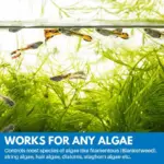 Aquarium Purifying Powder tag1