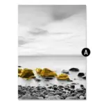 Arabella_Canvas_-_-4127253 Arabella Canvas
