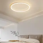 Arisha Modern LED Metal Ceiling Lamp tag1