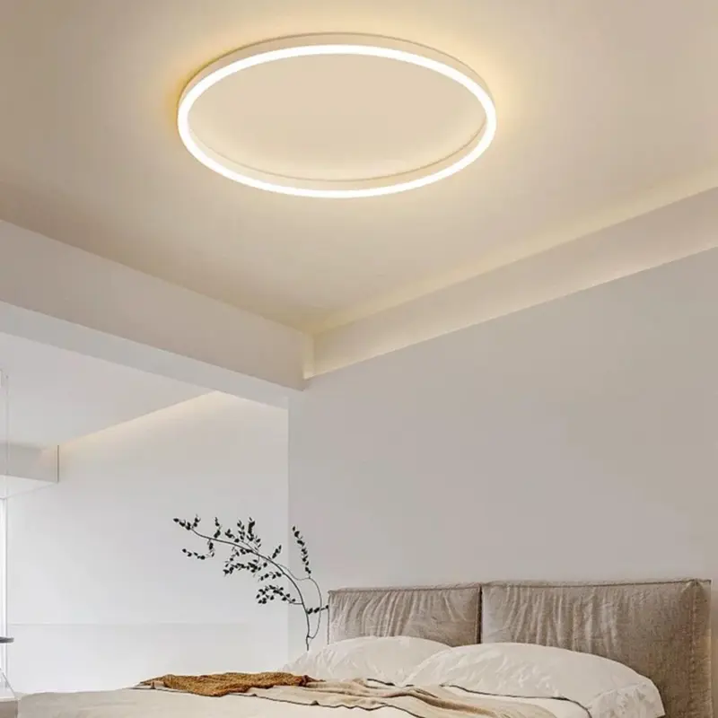 Arisha Modern LED Metal Ceiling Lamp tag1