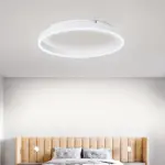Arisha Modern LED Metal Ceiling Lamp tag1