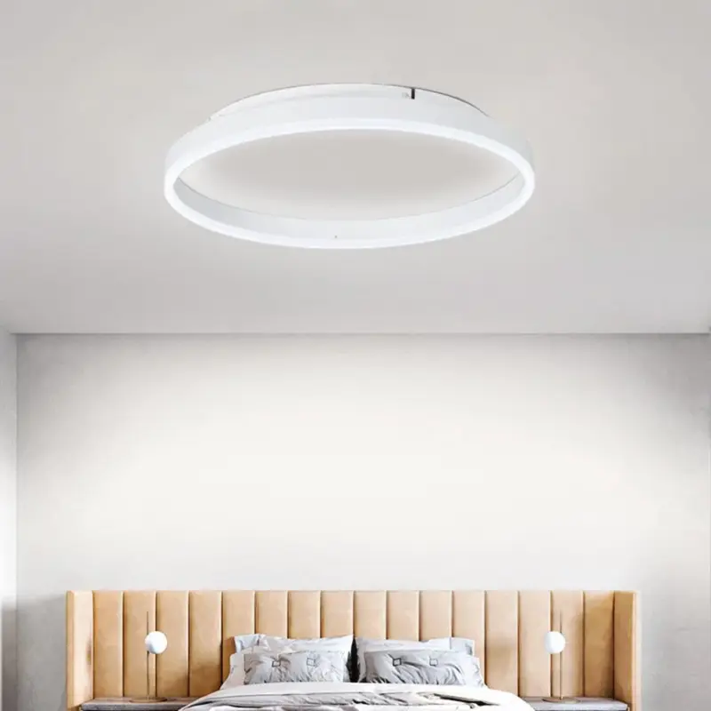Arisha Modern LED Metal Ceiling Lamp tag1