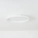 Arisha Modern LED Metal Ceiling Lamp tag1
