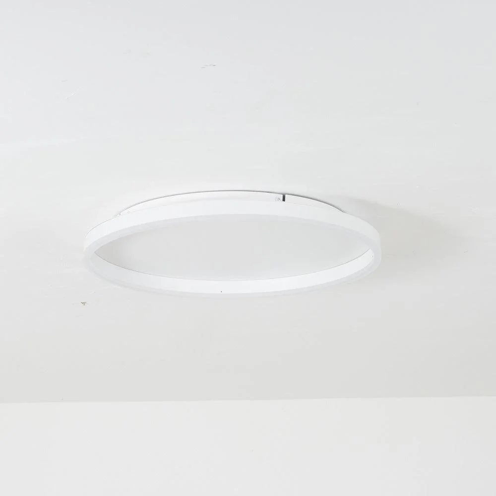 Arisha Modern LED Metal Ceiling Lamp -  - #tag1#