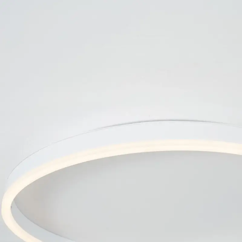 Arisha Modern LED Metal Ceiling Lamp tag1