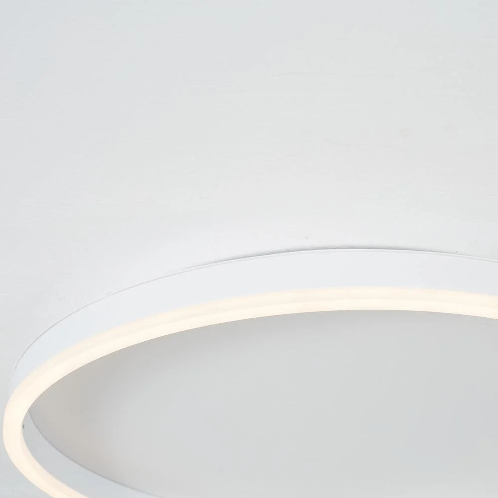 Arisha Modern LED Metal Ceiling Lamp -  - #tag1#