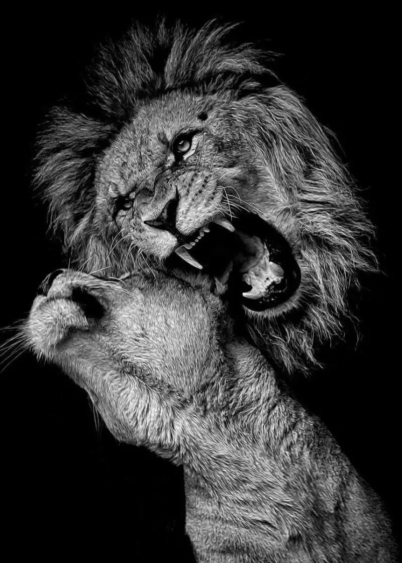 Armour Lion Canvas tag1