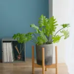 Artificial Plants Green Turtle Leaves Garden Home decor 1 Bouquet Mexican Autumn Decoration artificial grass plant 367cfc5f a61e 4a0d bf79 aa7a57cbf838
