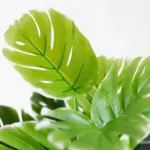 Artificial Plants Green Turtle Leaves Garden Home decor 1 Bouquet Mexican Autumn Decoration artificial grass plant 43994502 ab04 4569 977d 88ed7272dee0