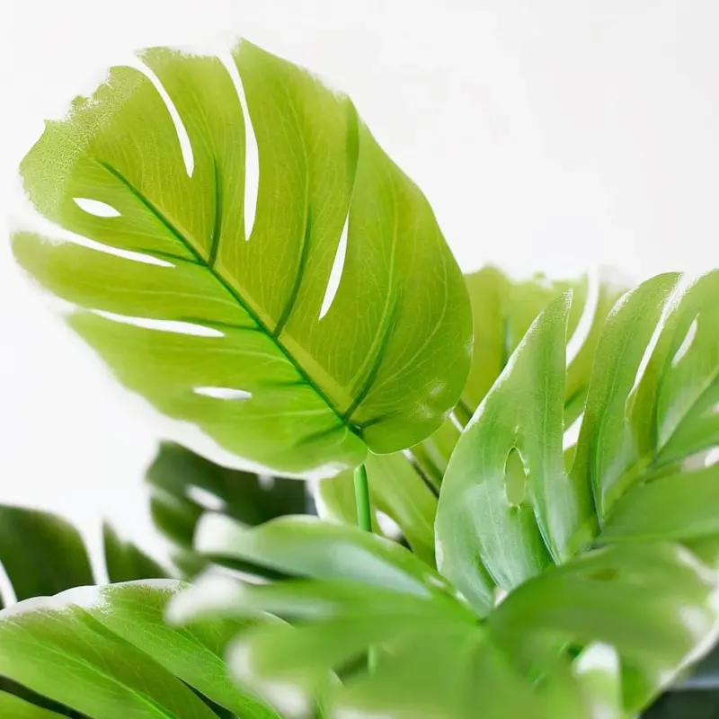 Artificial Plants Green Turtle Leaves Garden Home decor 1 Bouquet Mexican Autumn Decoration artificial grass plant 43994502 ab04 4569 977d 88ed7272dee0